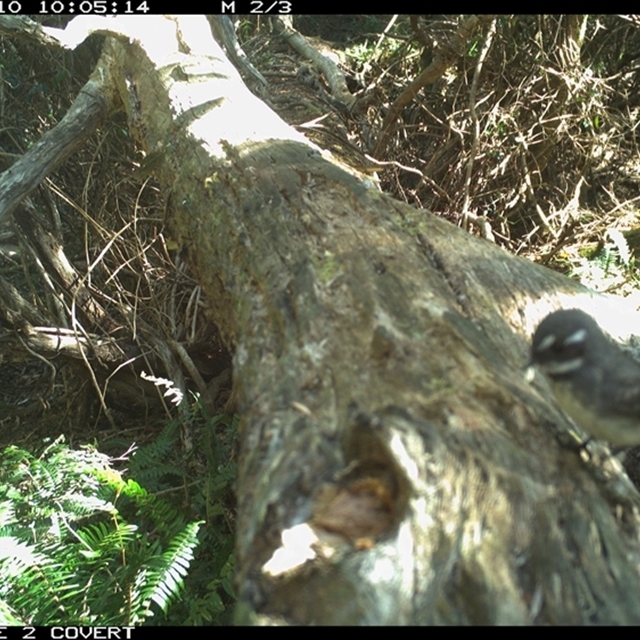 Land Libraries Survey - LLC11_12