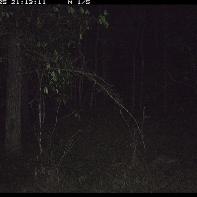 Land_Libraries_2024_LLC91_92