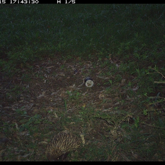 Land_Libraries_2024_LLC105_106