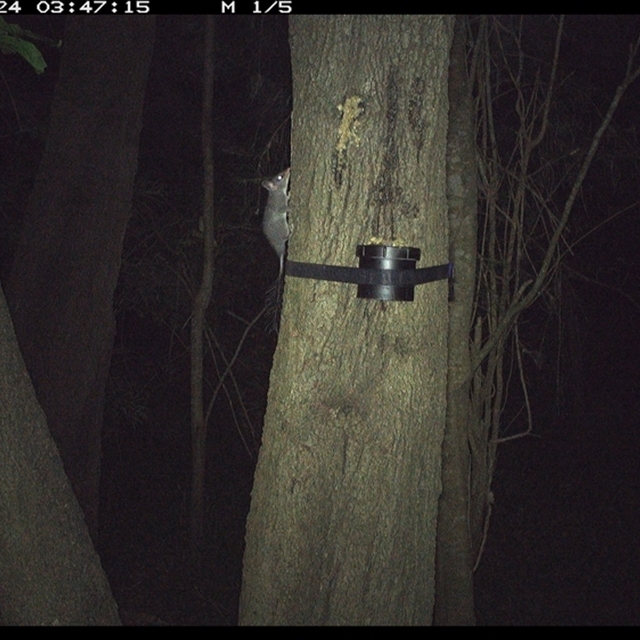 Land_Libraries_2024_LLC107_108