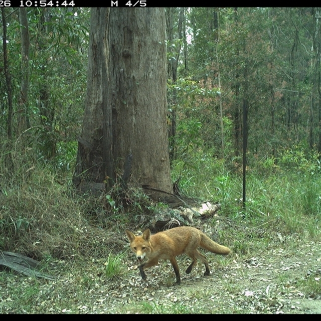 Land_Libraries_2024_LLC115_116