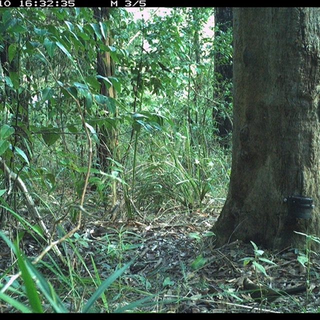 Land_Libraries_2024_LLC125_126