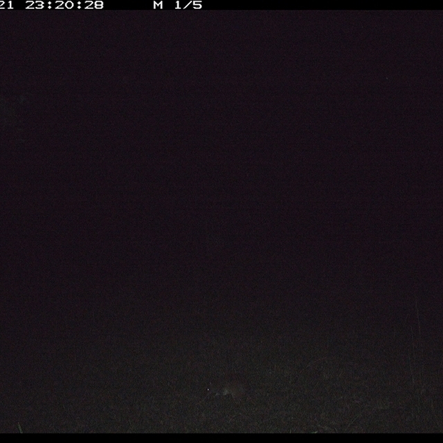 Land_Libraries_2024_LLC131_132