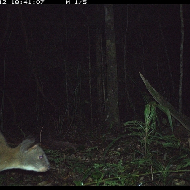 Land_Libraries_2024_LLC135_136