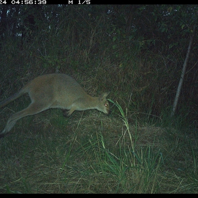 Land_Libraries_2024_LLC143_144