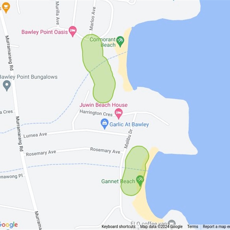 Bawley Point Walking Track field guide