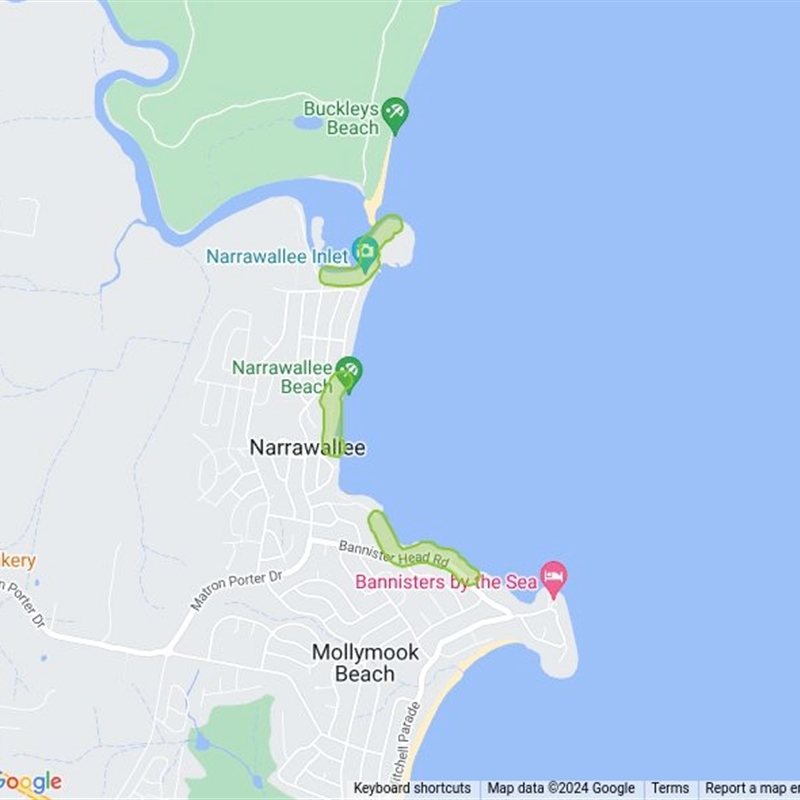 Narrawallee Foreshore Reserves Walking Track