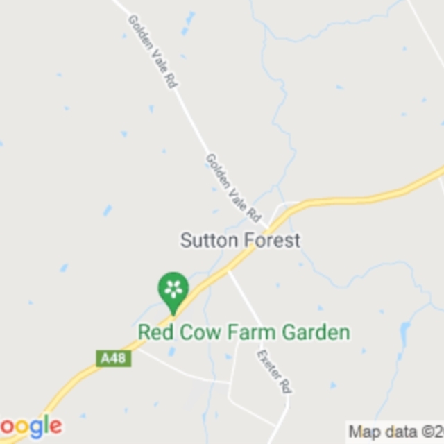 Sutton Forest, NSW field guide