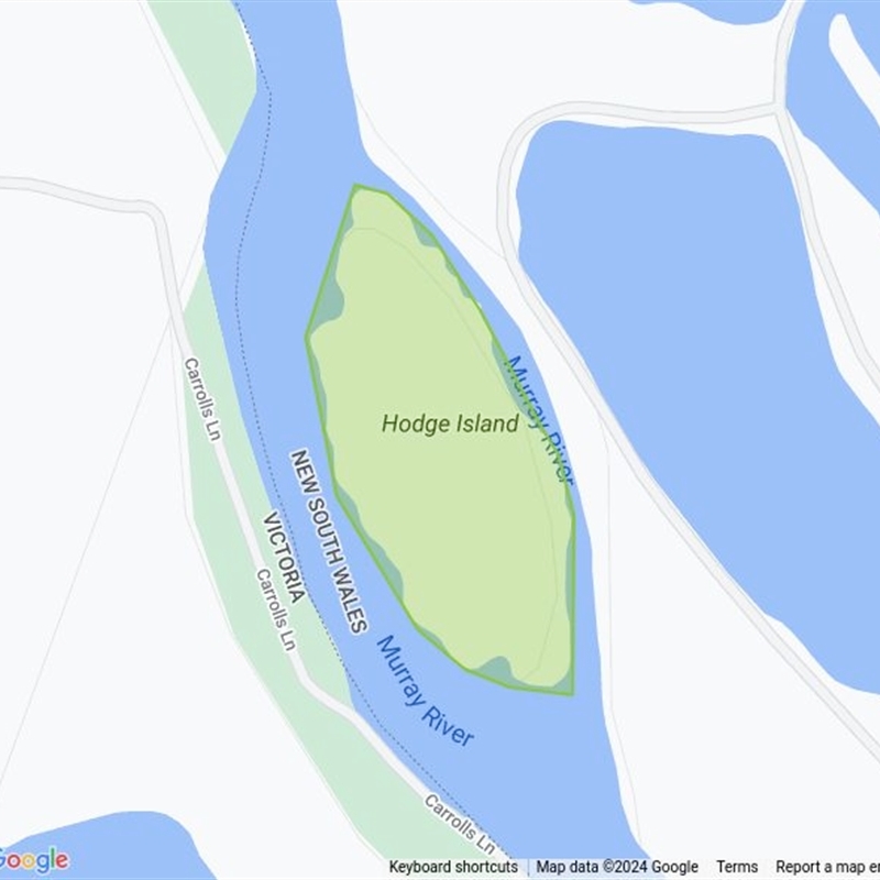 Hodge Island field guide