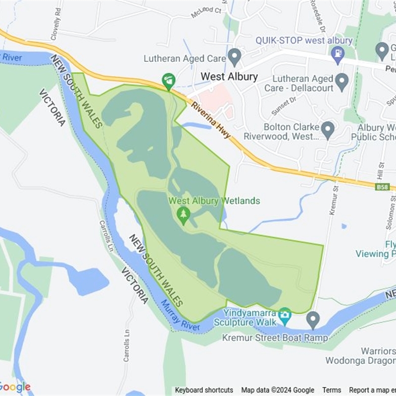 Horseshoe Lagoon and West Albury Wetlands