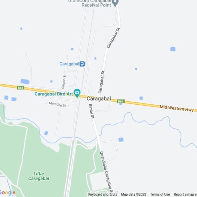 Caragabal, NSW field guide