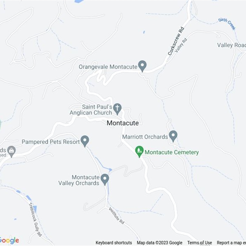 Montacute, SA field guide