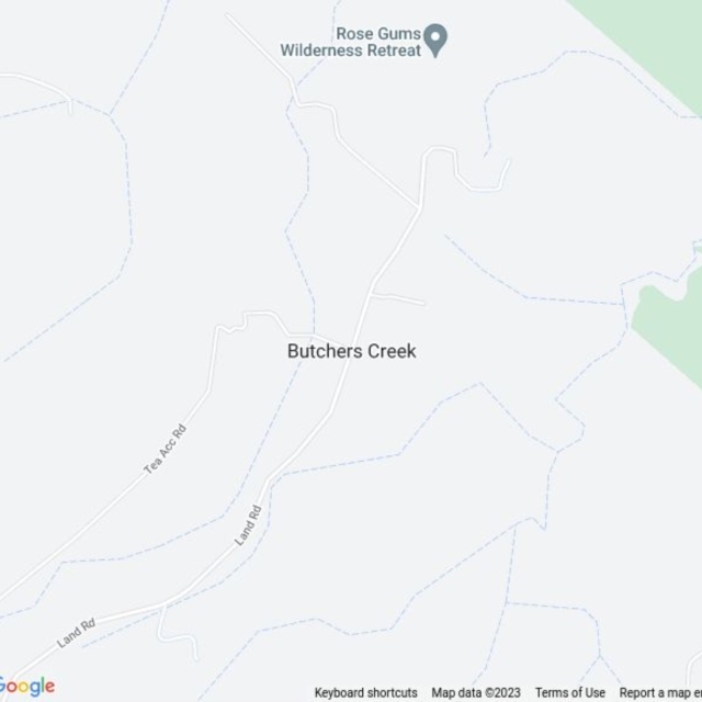 Butchers Creek, QLD field guide