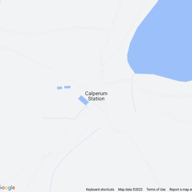 Calperum Station, SA field guide