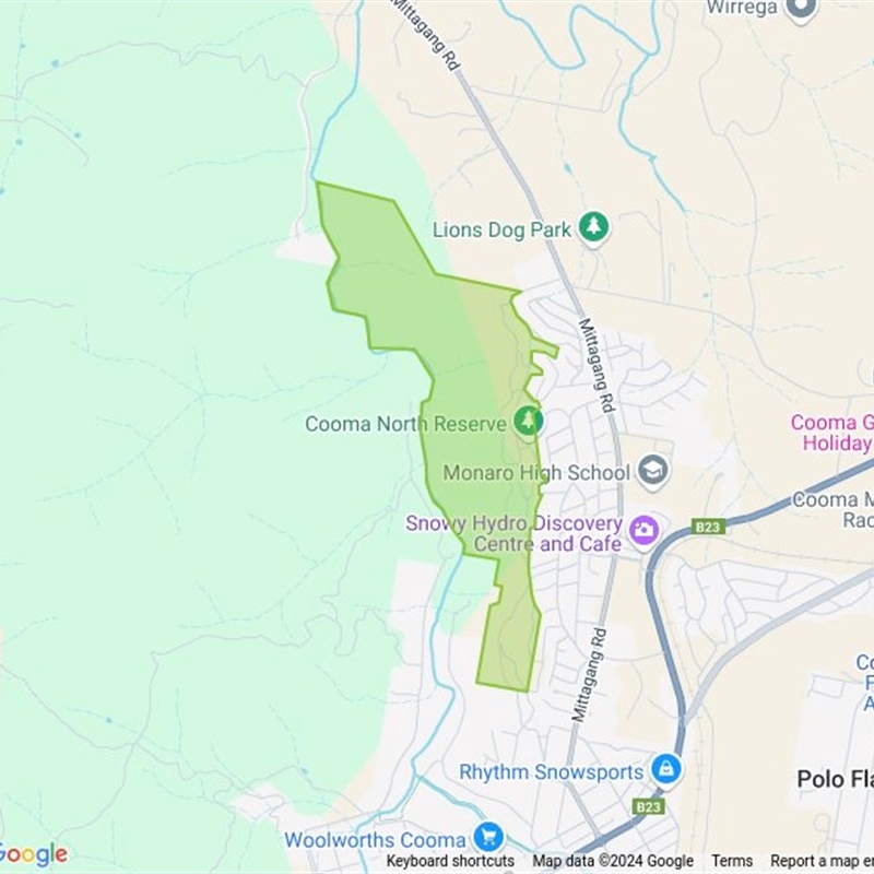 Cooma North Ridge Reserve