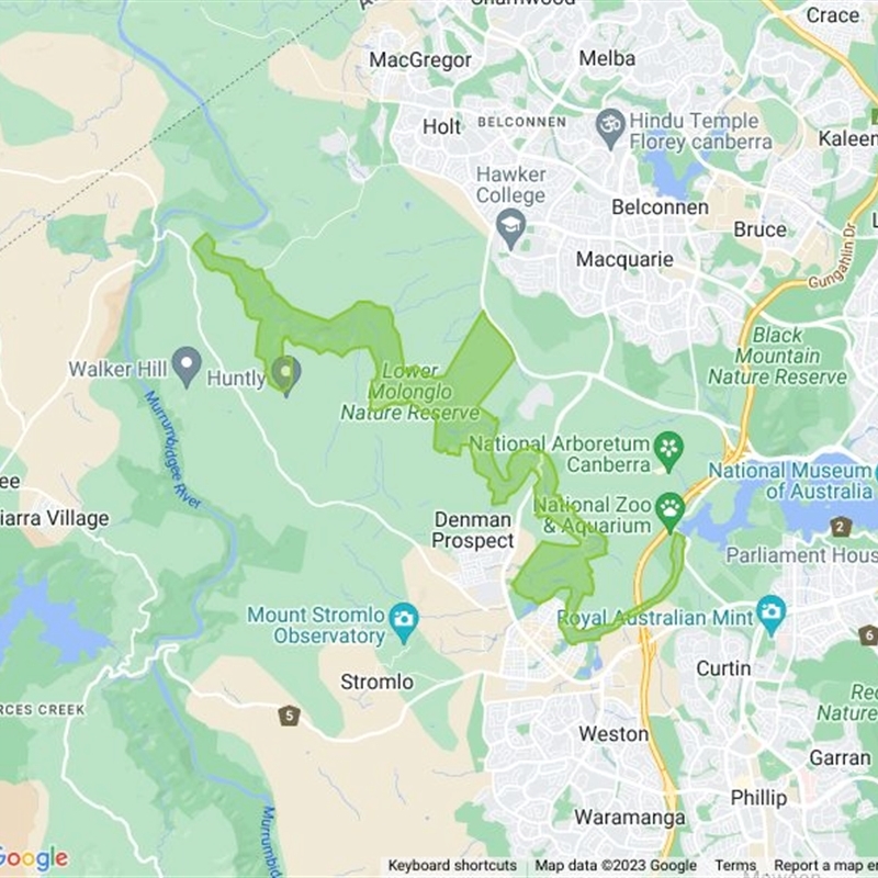 Molonglo River Reserve field guide