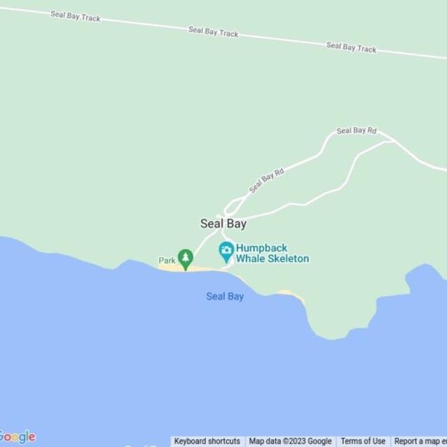 Seal Bay, SA