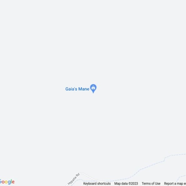 • Carnarvon Gorge, QLD field guide