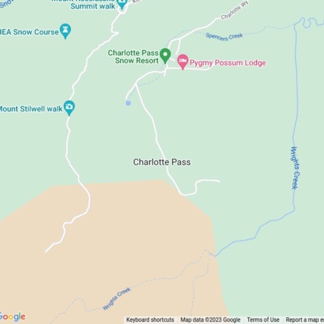 Charlotte Pass, NSW field guide