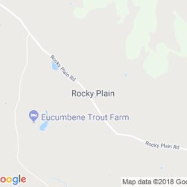 Rocky Plain, NSW field guide