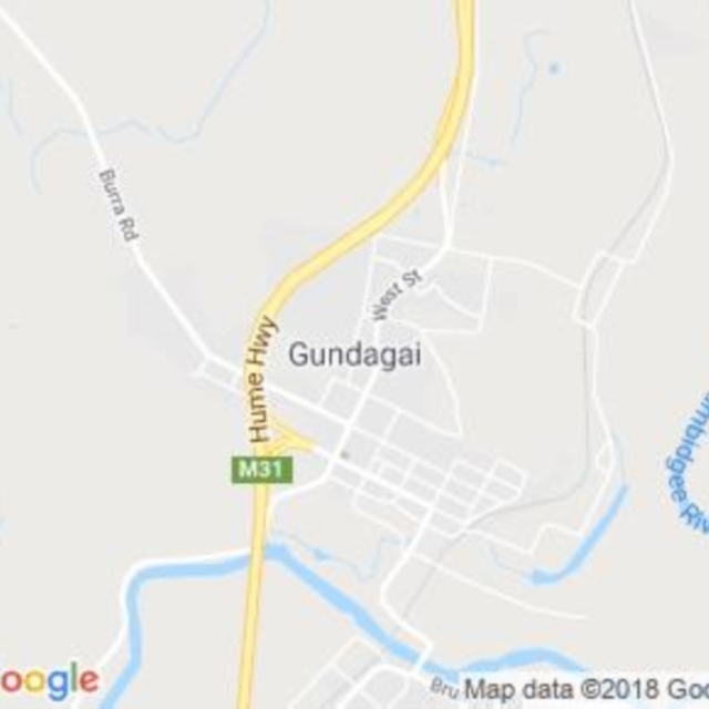South Gundagai, NSW field guide