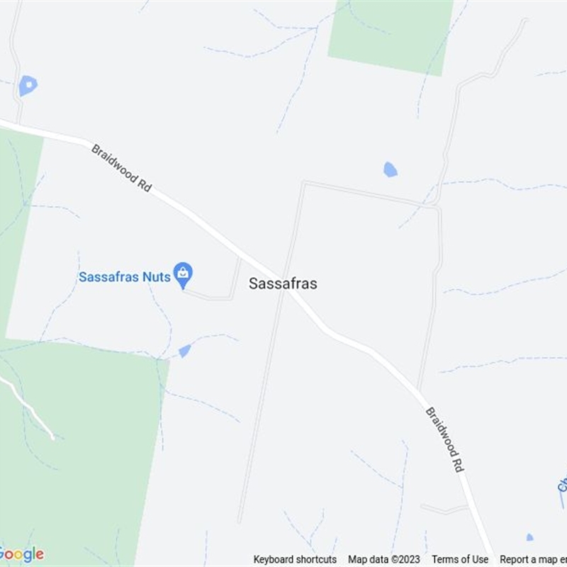 Sassafras, NSW