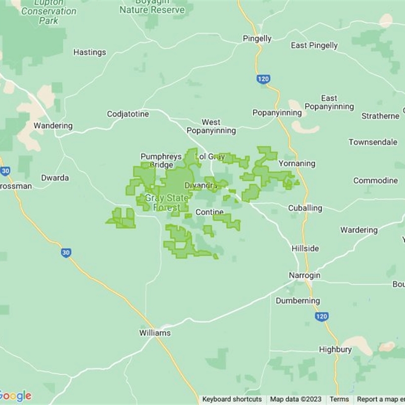 Dryandra Woodland National Park field guide