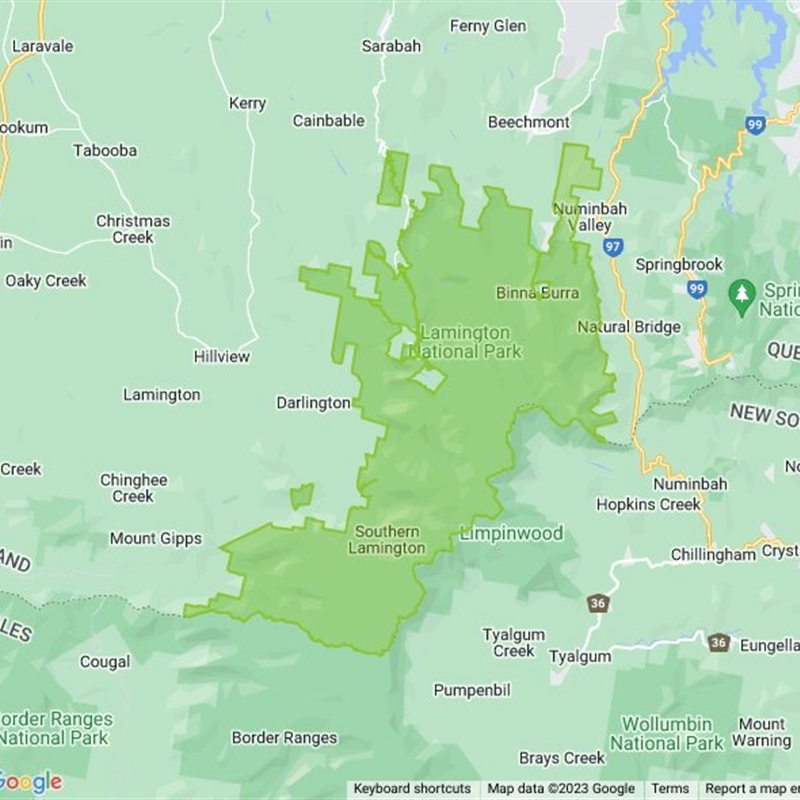 Lamington National Park field guide