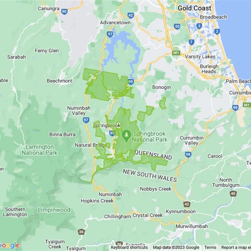 Springbrook National Park field guide