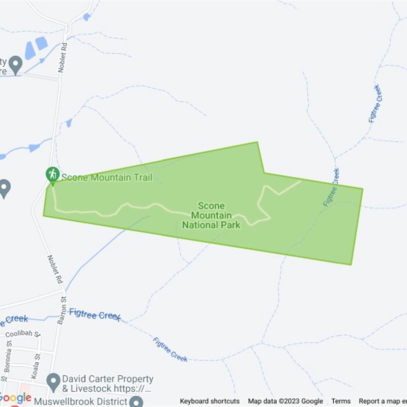 Scone Mountain National Park field guide