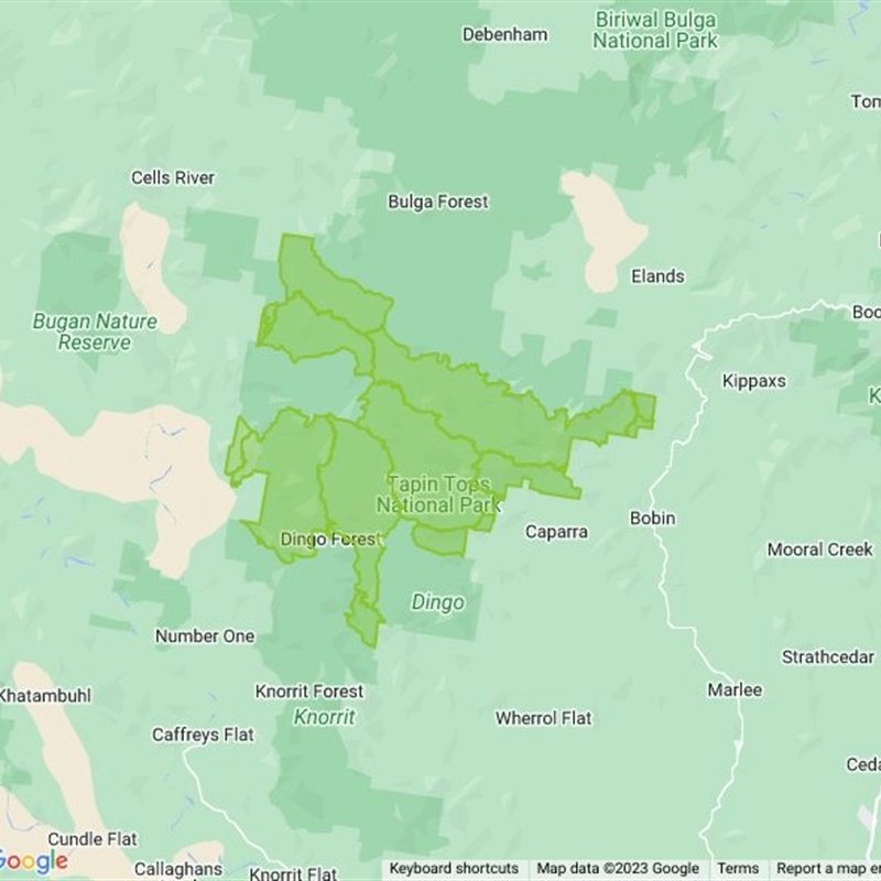 Tapin Tops National Park field guide