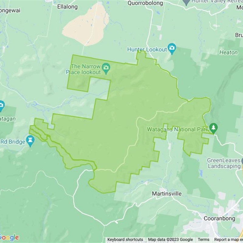 Watagans National Park field guide