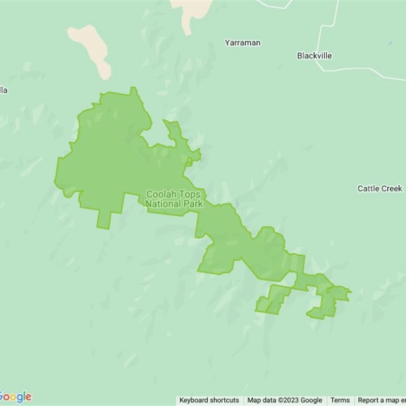 Coolah Tops National Park field guide