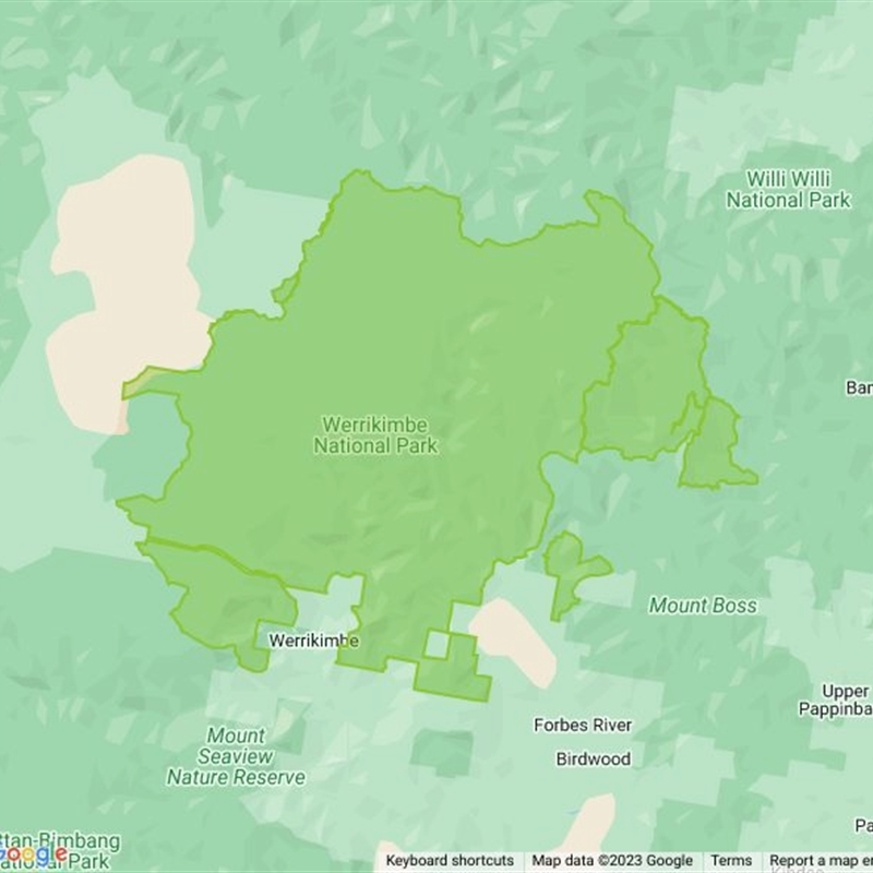 Werrikimbe National Park field guide