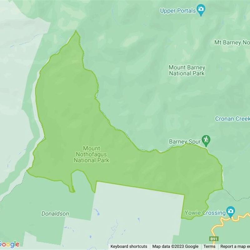 Mount Nothofagus National Park field guide