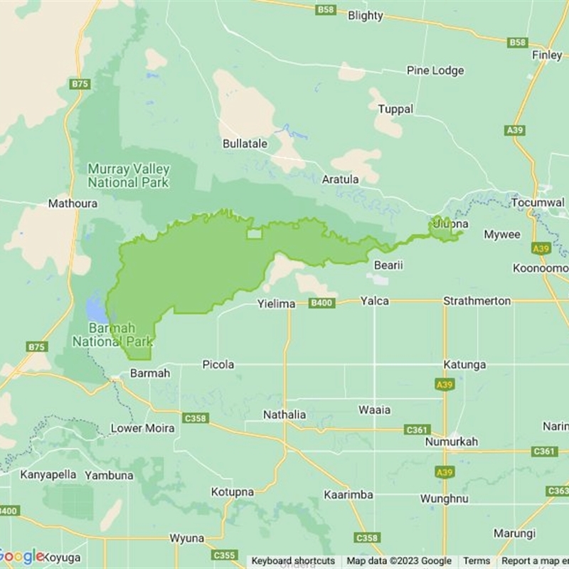 Barmah National Park field guide