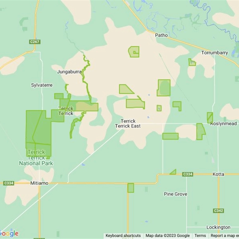 Terrick Terrick National Park field guide