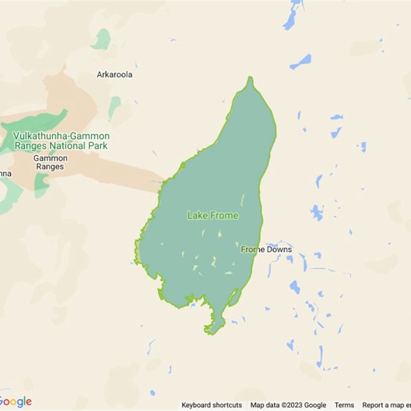 Lake Frome National Park field guide