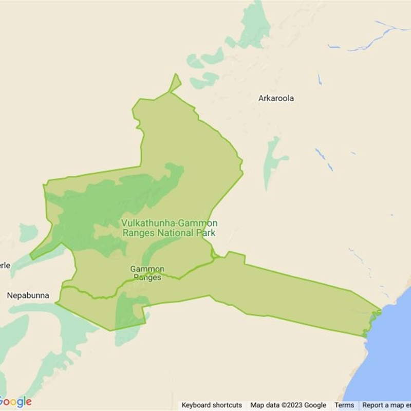 Vulkathunha-Gammon Ranges National Park field guide