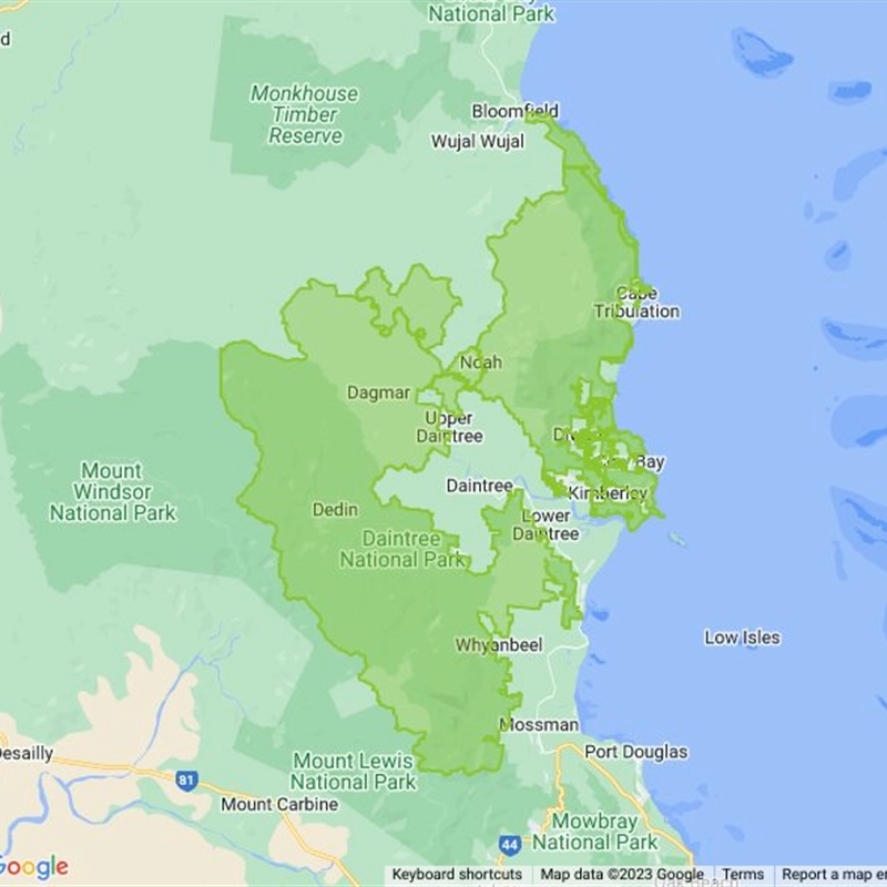 Daintree National Park field guide