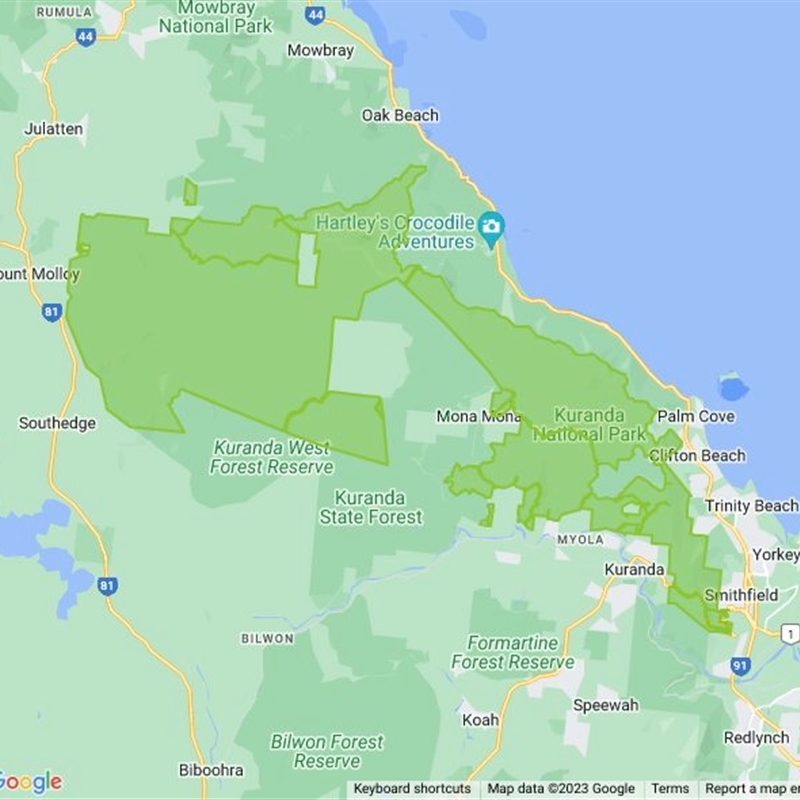 Kuranda National Park field guide