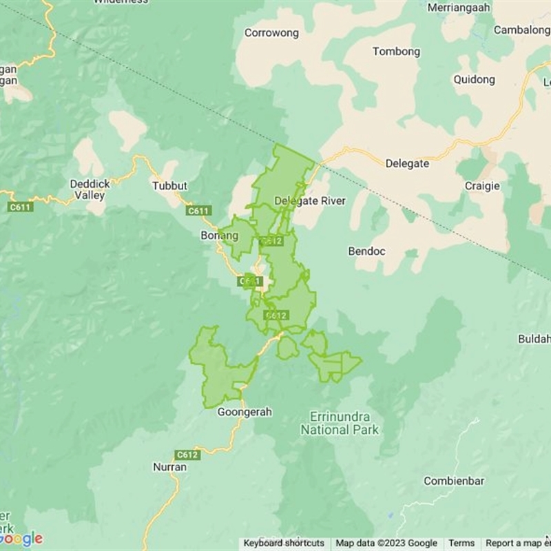 Bonang State Forest field guide