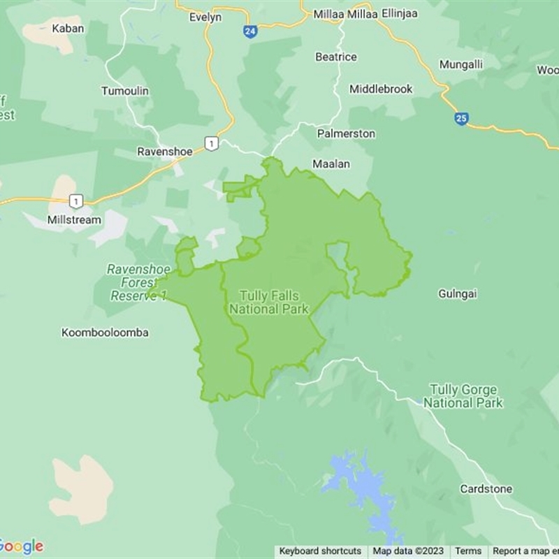 Tully Falls National Park field guide