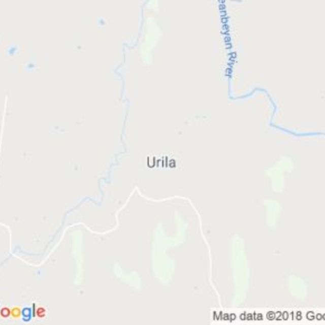 Urila, NSW field guide
