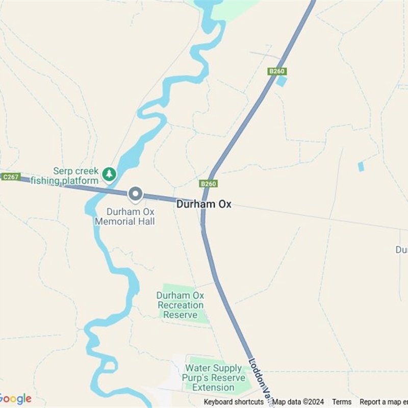 Durham Ox, VIC