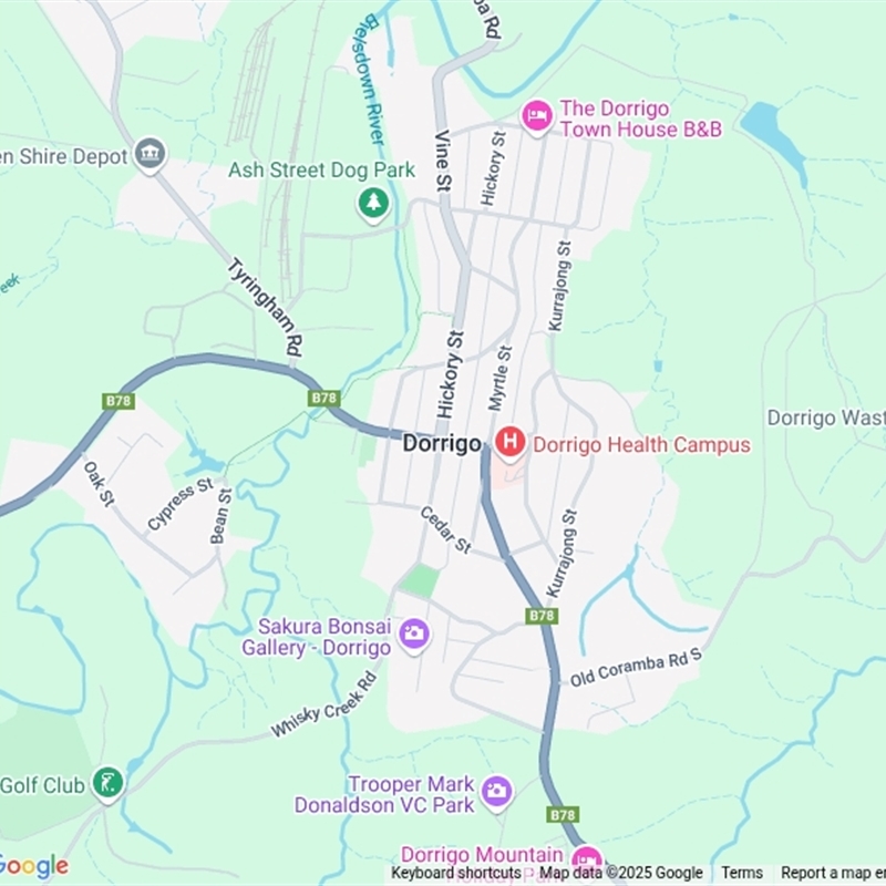 Dorrigo, NSW