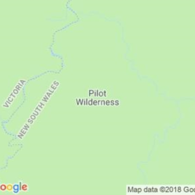 Pilot Wilderness, NSW field guide