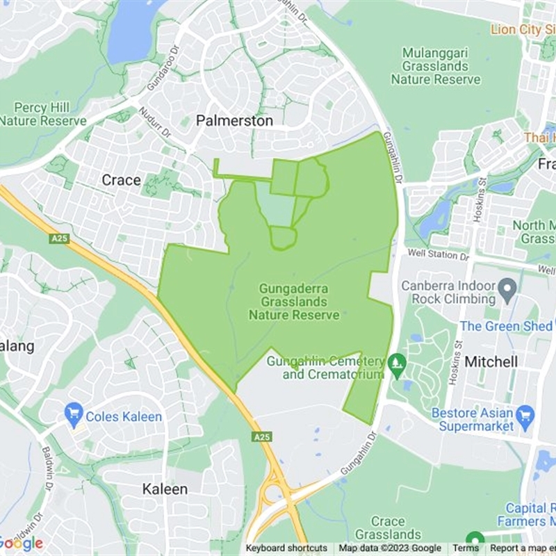 Gungaderra Grasslands