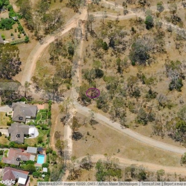 FMC120: Mt Majura drainage line, downstream. Swamp near transact pole.