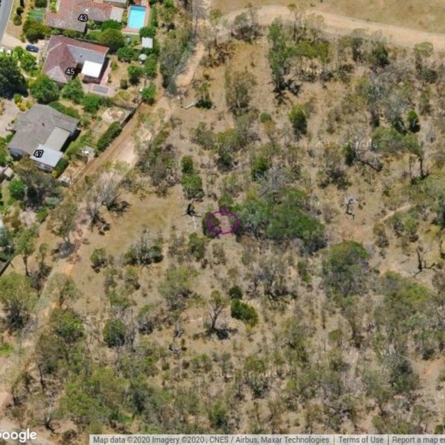 FMC140: Mt Majura drainage line, middle. Rocky section.